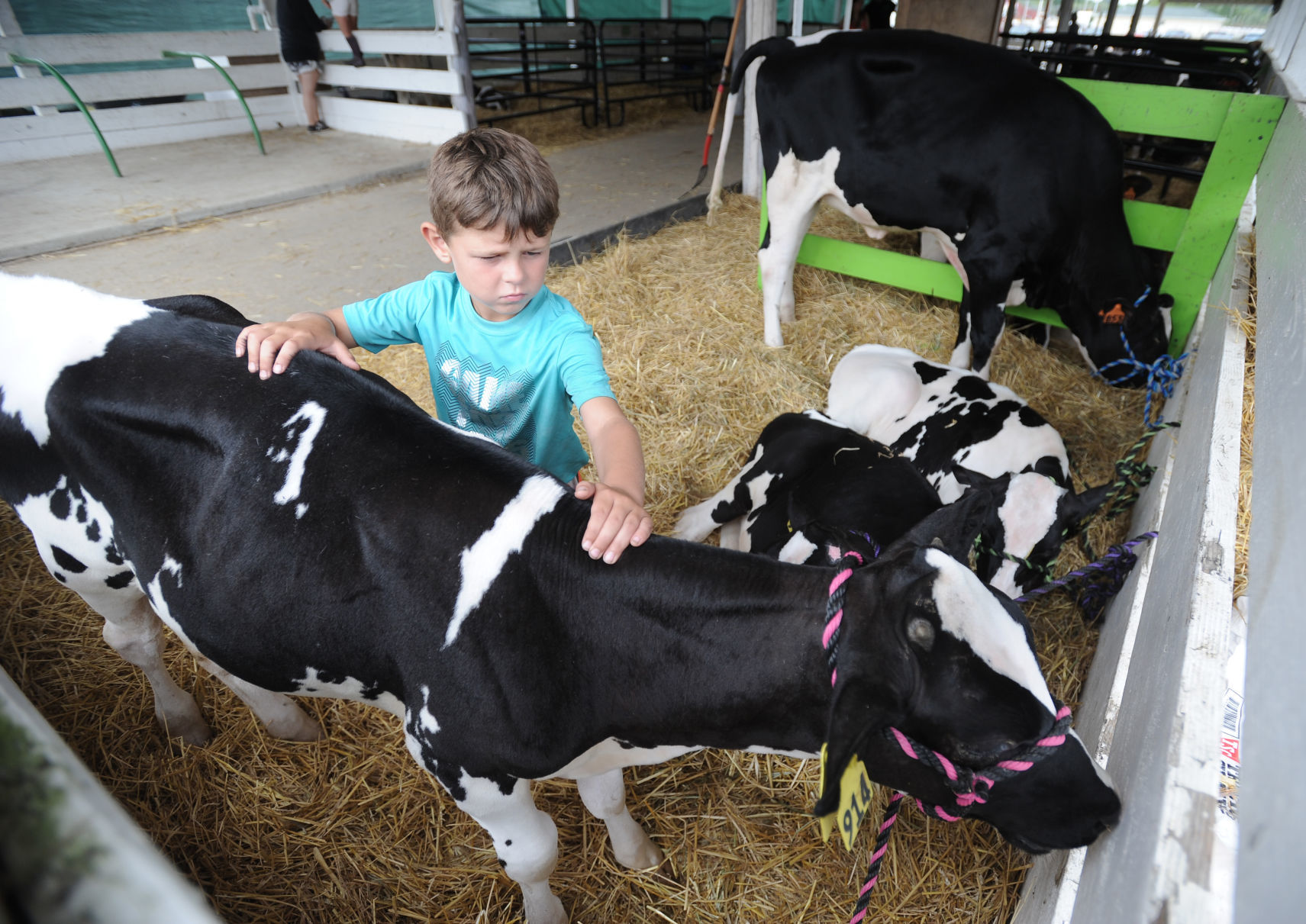 COUNTY FAIR WEDNESDAY